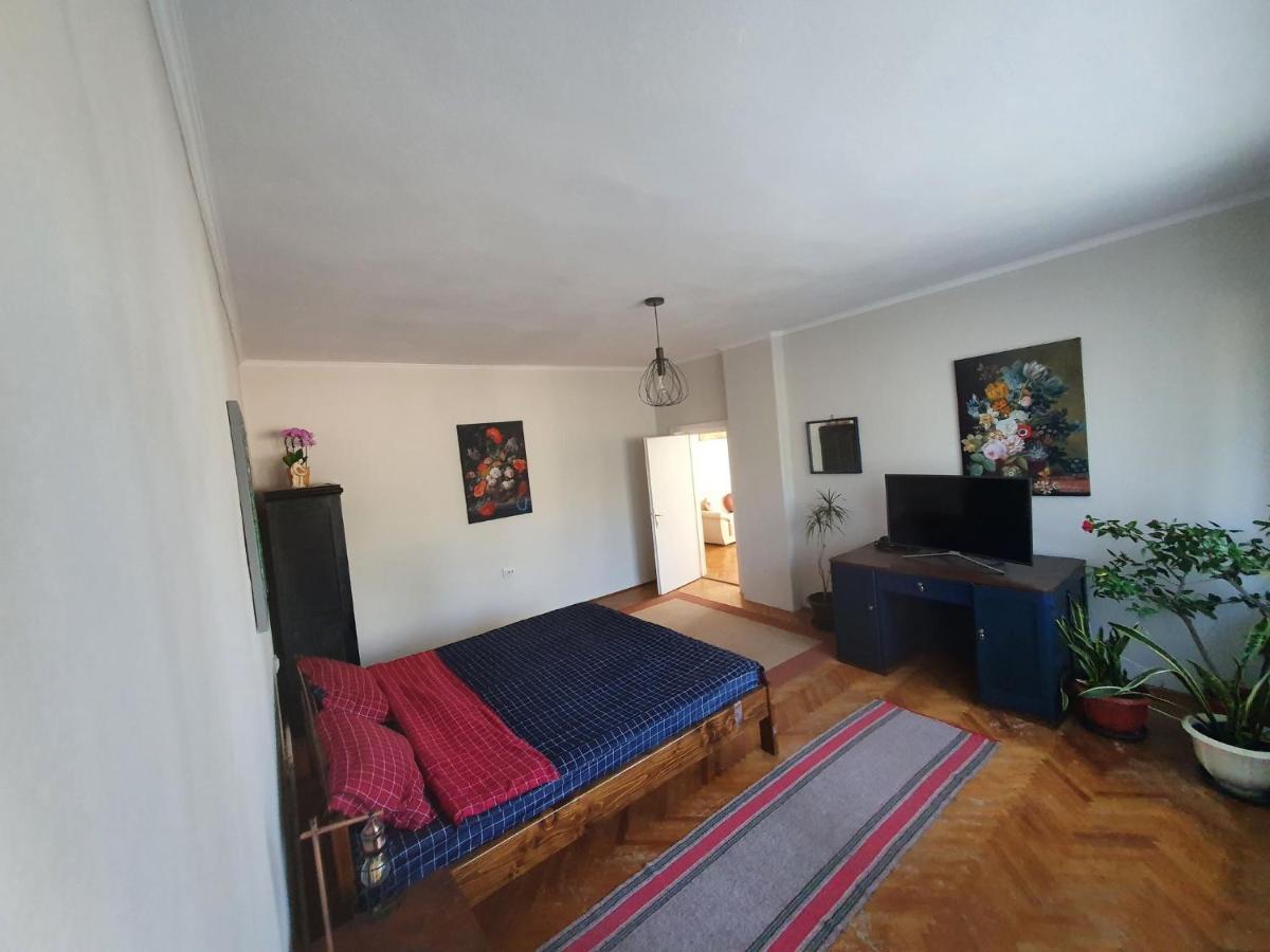 Andrea apartman Sfântu-Gheorghe Exterior foto